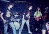 image003.gif (942632 bytes)